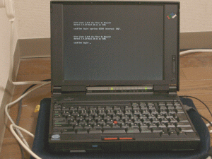 IBM ThinkPad365X